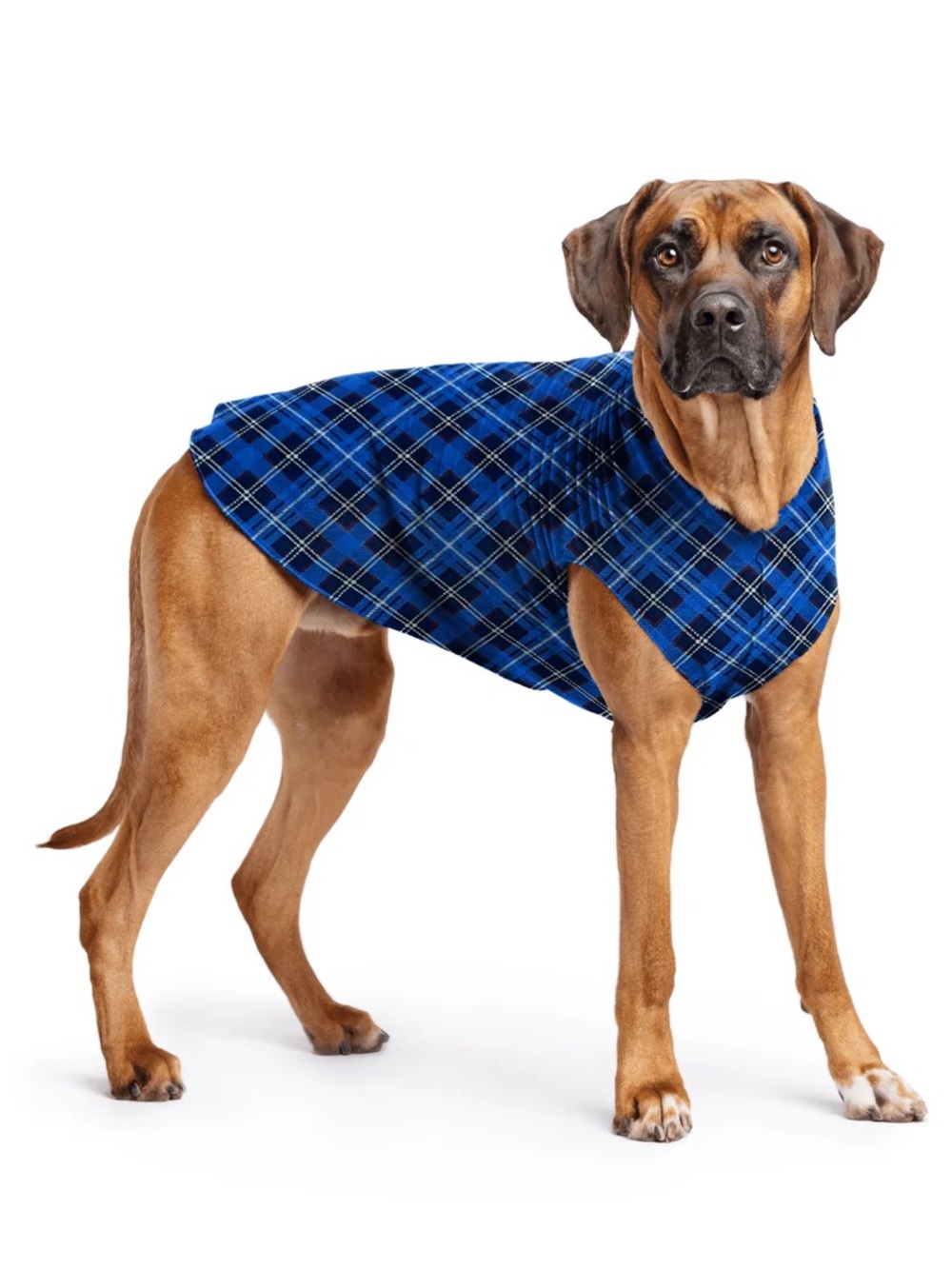 NWT Gold Paw Stretch Fleece Dog Jacket 26 Blue Plaid Made USA Large Breed - Picture 2 of 11